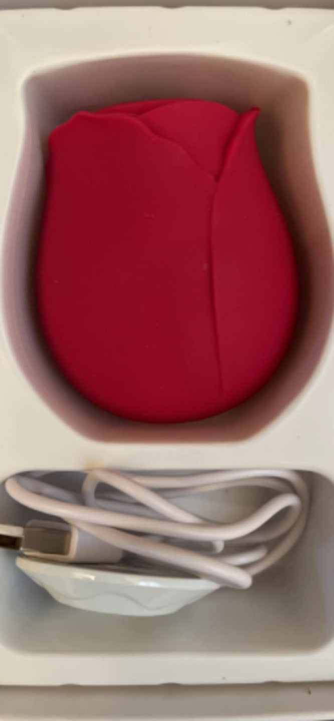 Red rose toy in its box next to the charging cable and magnetic dock